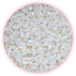 お米由来の植物性乳酸菌